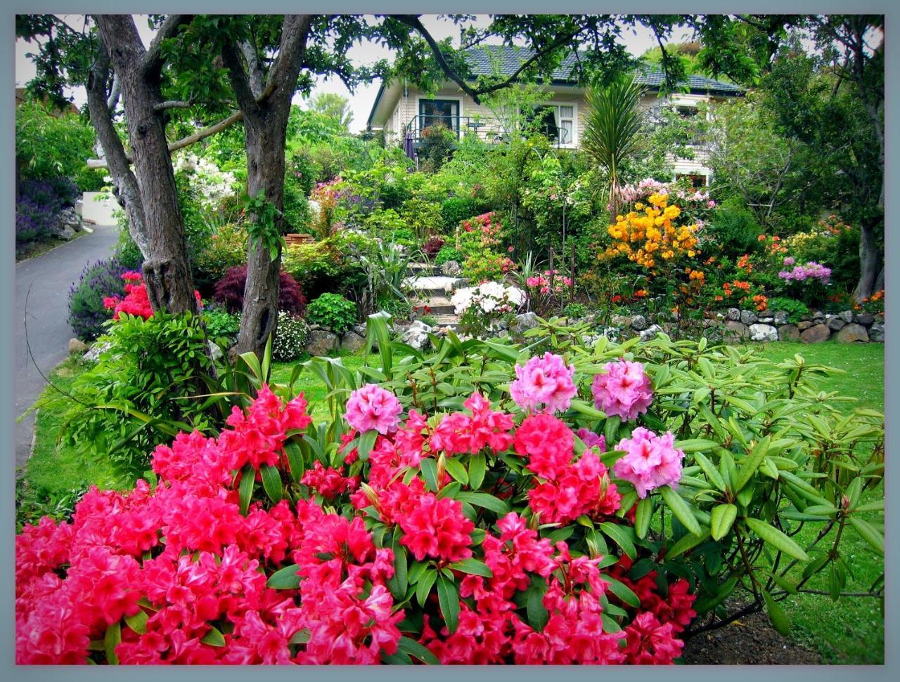 Mcauley Glen Boutique B&B Portobello エクステリア 写真