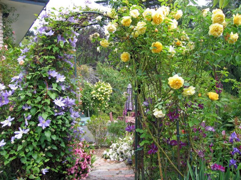 Mcauley Glen Boutique B&B Portobello エクステリア 写真